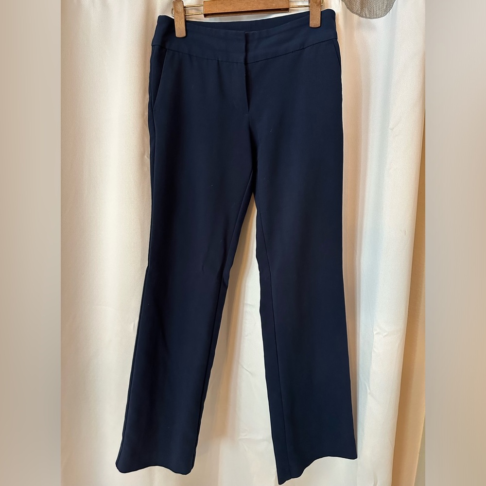 Ann Taylor Blue Trousers (Size 2)